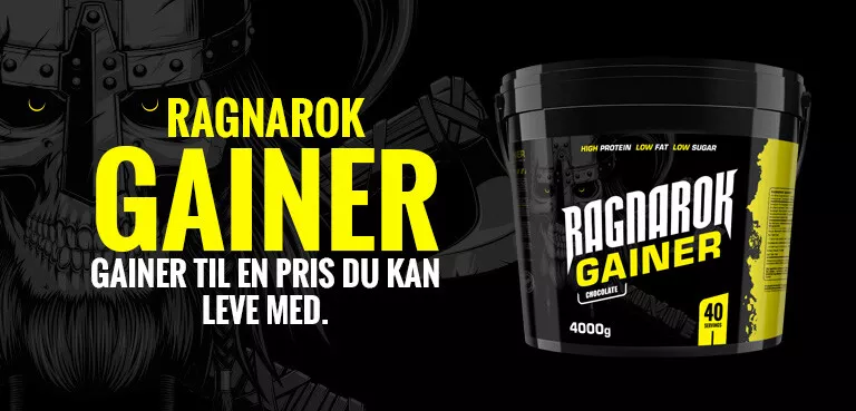 Gainer med 13% protein (4 kg)